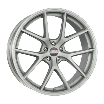Platinum Silver