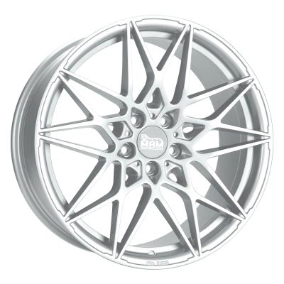 Silver Painted Silver Painted